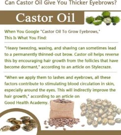 Your Beauty Tree ® Wimper Serum Met Echte Castor Olie |100% Natuurlijke Wimpergroei| Castor Oil Eyelash Serum|Wonder Olie | Wimper Groei | Wenkbrauw Serum | Lash Serum | Wimper Groeimiddel -Bekend Cosmetica Winkel 1075x1200