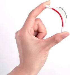 Bellive Tattoo Lipstick Red - Lipstick Dames - Tiktok - Lippenstift Wattenstaafje 20 Stuks - Lipstick Set - Waterproof Lipstick - Lippenstift Langhoudend - Long Lasting Lip Gloss - Multicolor -Bekend Cosmetica Winkel 1114x1200