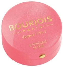Bourjois Little Round Pot Blush - 33 Lilas D'Or -Bekend Cosmetica Winkel 1129x1200 4