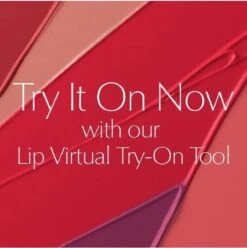 Estée Lauder Pure Color Envy Sculpting Lipstick - 340 Envious -Bekend Cosmetica Winkel 1193x1200 2