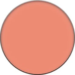 L’Oréal Paris True Match - 160 Pêche - Blush -Bekend Cosmetica Winkel 1199x1200 15