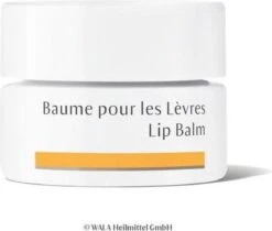 Dr. Hauschka Dr. Hauschka Lip Balm 4,5 Ml -Bekend Cosmetica Winkel 1200x1018