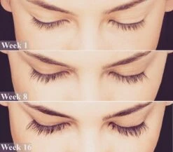 Lanthome Wimperserum - Met Castor Olie -Bekend Cosmetica Winkel 1200x1056 1