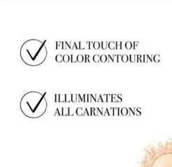 Bourjois Le Petit Strober Highlighter - 00 Universal Glow -Bekend Cosmetica Winkel 1200x1164 77