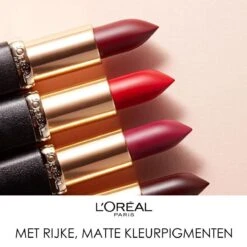 L'Oréal Paris Color Riche Matte Lippenstift - 655 Copper Clutch -Bekend Cosmetica Winkel 1200x1198 19