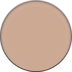 L’Oréal Paris True Match Foundation - W6 Honey - Poeder -Bekend Cosmetica Winkel 1200x1200 1192