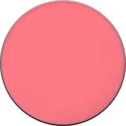 L'Oréal Paris True Match Blush - 165 Rose Bonne Mine -Bekend Cosmetica Winkel 1200x1200 1336