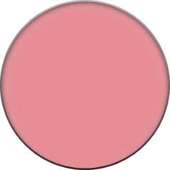 L’Oréal Paris Accord Parfait Le Blush - 90 Luminious Rose -Bekend Cosmetica Winkel 1200x1200 1362