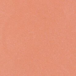 Blèzi® Lip Fix 10 Blissful Pink - Lipstick - Lippenstift Langhoudend - Roze Perzik -Bekend Cosmetica Winkel 1200x1200 172