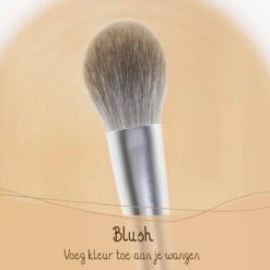 Bamboozy Makeup Kwasten Set Tarwestro - Make Up Brush Foundation Oogschaduw Poeder Kwast Brush Contour Eyeliner - 6 Stuks -Bekend Cosmetica Winkel 1200x1200 1793