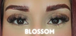 Merkloos Nep Wimpers Russisch Volume- Blossom Wimperextension Lashes -Bekend Cosmetica Winkel 1200x571