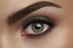 L'Oréal Paris La Petite Palette Oogschaduw - 05 Feminist -Bekend Cosmetica Winkel 1200x793