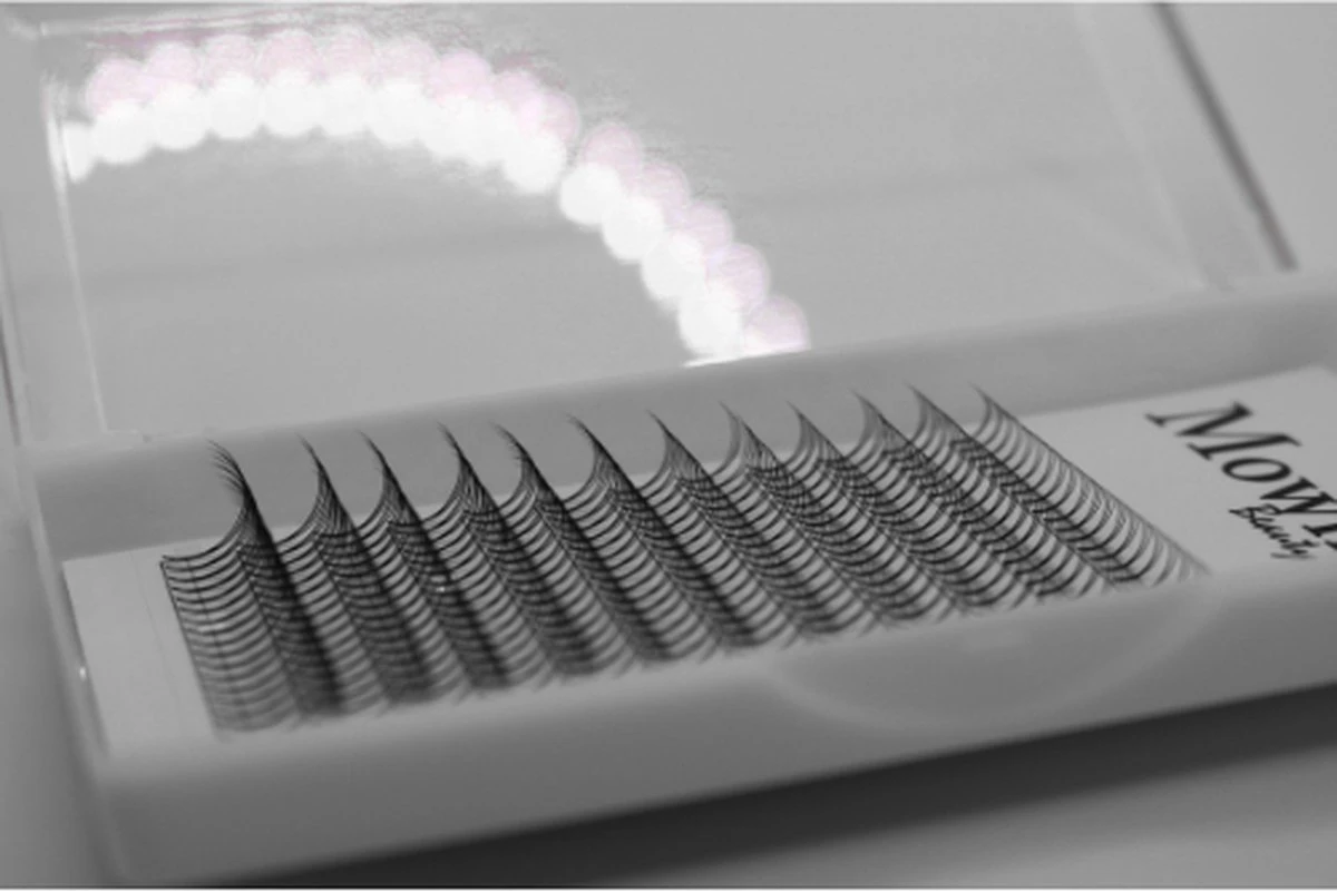 Mowny Beauty - Wimperextensions - 3D Premade Fans - Mix Tray 0,10mm D-krul - Natuurlijke Wimperextensions - Russisch Volume 6 Mowny Beauty - Wimperextensions - 3D Premade Fans - Mix Tray 0,10mm D-krul - Natuurlijke Wimperextensions - Russisch Volume - Afbeelding 4