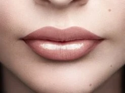 L'Oréal Paris Color Riche Shine Lippenstift - 658 Topless -Bekend Cosmetica Winkel 1200x895 1