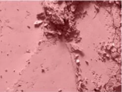 MAC Cosmetics Blush Mocha -Bekend Cosmetica Winkel 1200x906 3