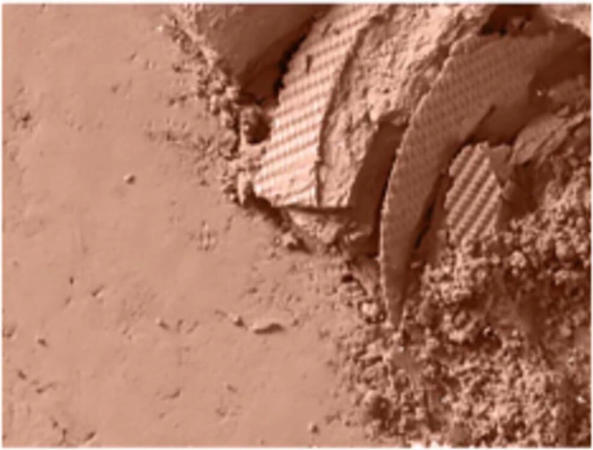 Mac Powder Blush 6 Mac Powder Blush - Afbeelding 4