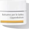 Dr. Hauschka Dr. Hauschka Lip Balm 4,5 Ml -Bekend Cosmetica Winkel 1200x926